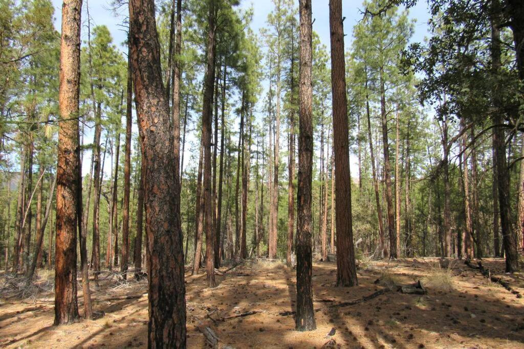 Forest Cabin 7 Seventh Heaven Payson Exterior photo